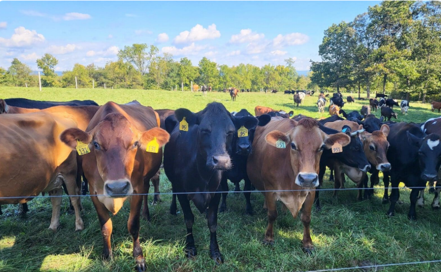 About Us-Swift Aeroseed