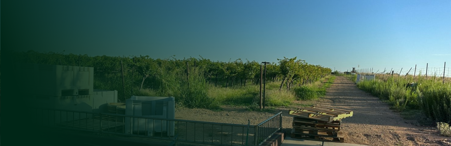 Crop Spraying Drones - Related Products header
