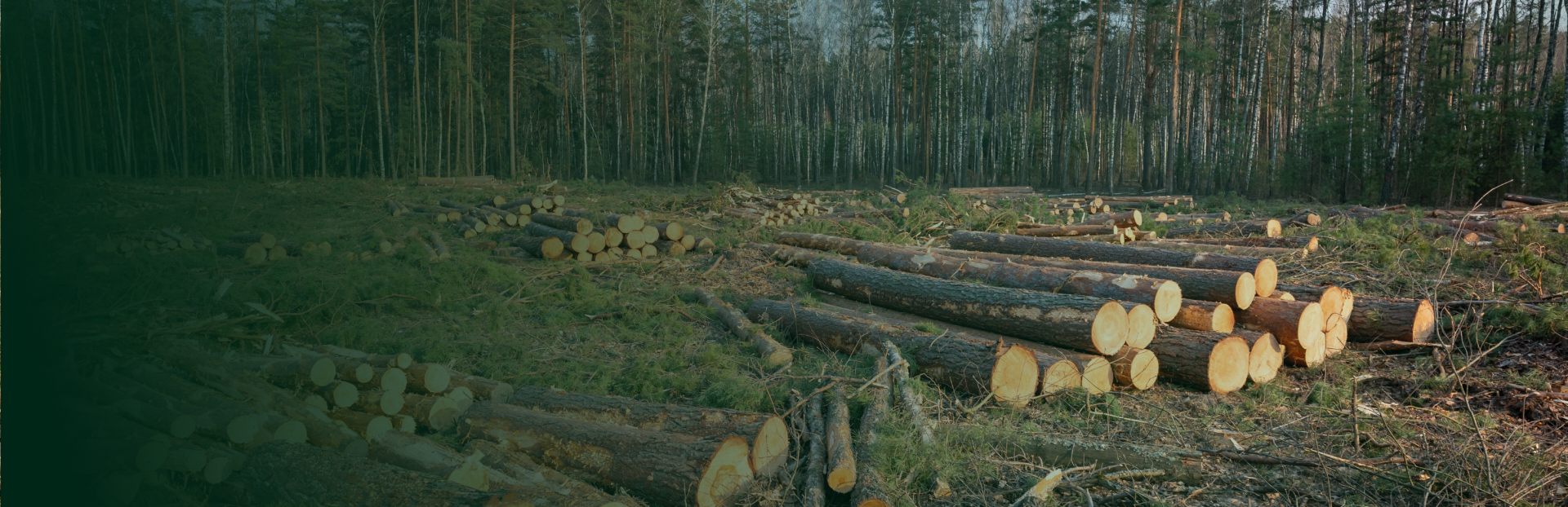 Forestry - Related Products header
