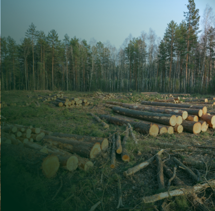 Mobile - Forestry - Related Products header
