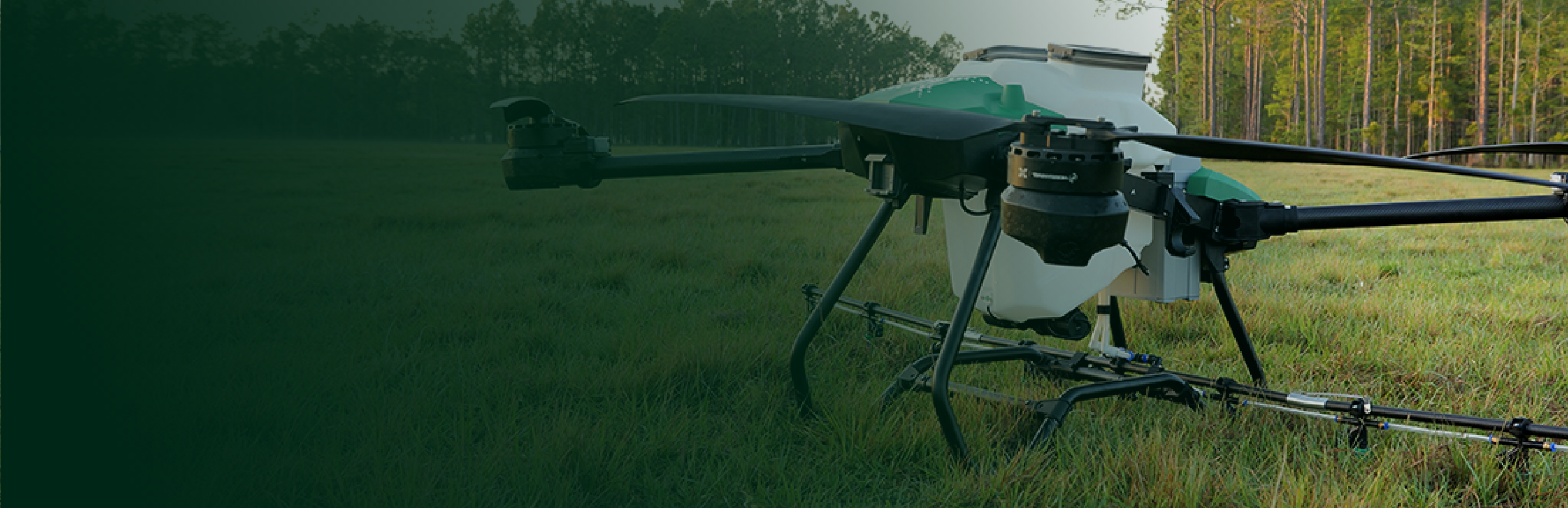 Weed Control - Related Products header