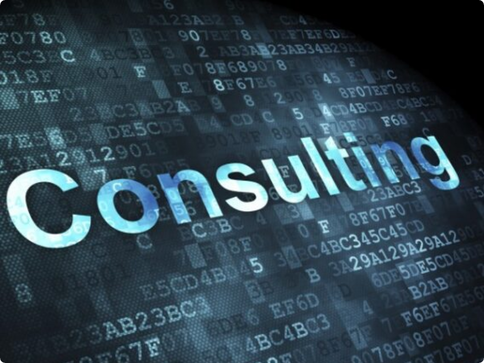 Consulting services